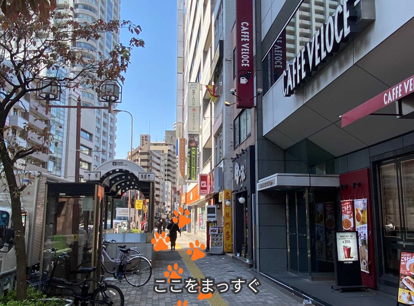 行きかたの画像2